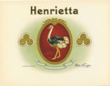 HENRIETTA