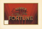 HIDDEN FORTUNE