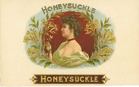 HONEYSUCKLE