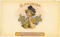 LA ANDROSA