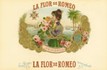 LA FLOR DE ROMEO