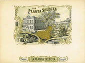 LA PLANTA SELECTA