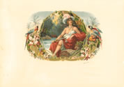 LA ROSADA 17728