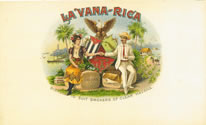 LA VANA RICA