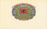 LEHIGH VALLEY RAILROAD