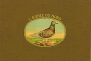 L'ETOILE DU NORD