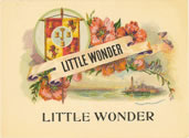 LITTLE WONDER