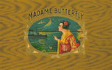 MADAME BUTTERFLY