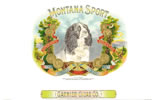 MONTANA SPORT