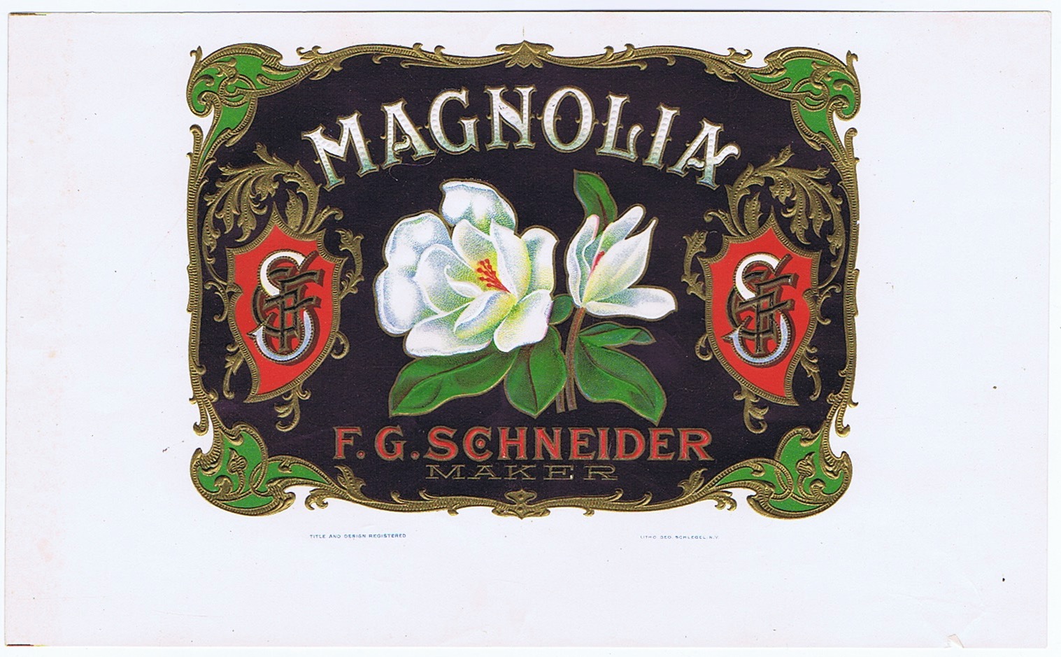 MAGNOLIA