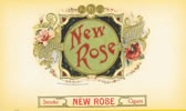 NEW ROSE