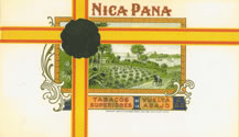 NICA PANA