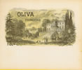 OLIVA