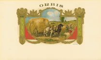 ORBIS