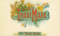 OUR TRADE MARK