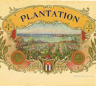 PLANTATION