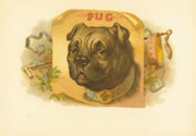 PUG