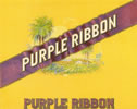 PURPLE RIBBON