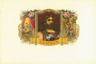 SAMSON