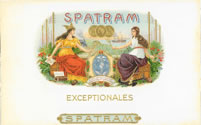 SPATRAM