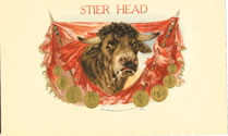 STIER HEAD