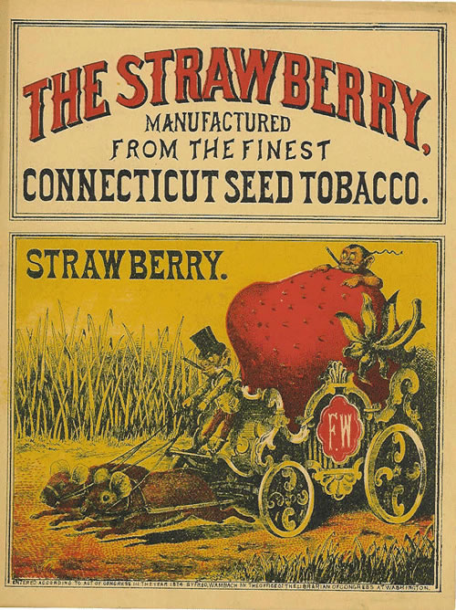STRAWBERRY, THE