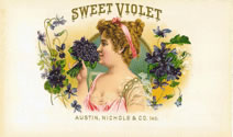 SWEET VIOLET