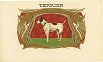 TERRIER