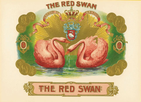 THE RED SWAN