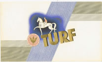 TURF BLUE