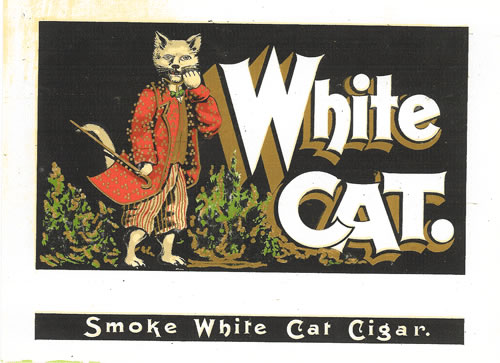 WHITE CAT