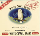 WHITE OWL