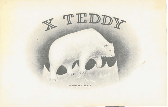 X TEDDY
