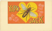 YELLOW JACK