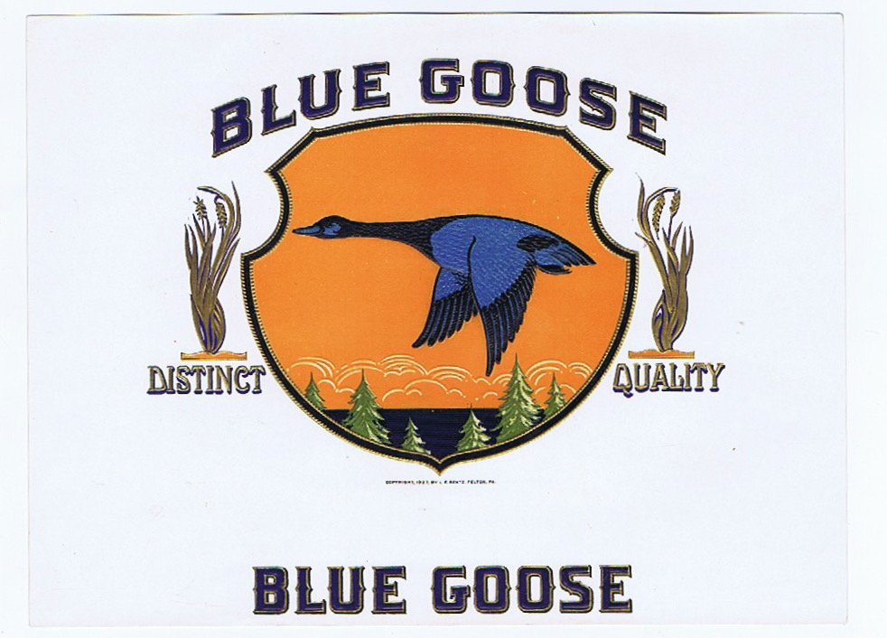 BLUE GOOSE