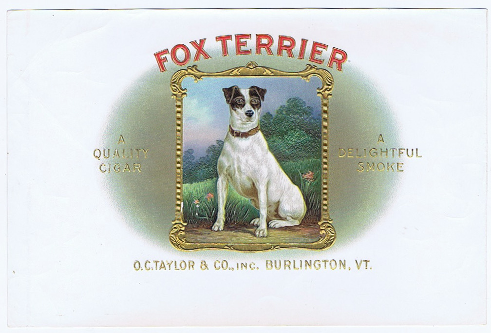 FOX TERRIER