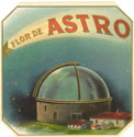 ASTRO, FLOR DE