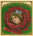 BABY ROSE