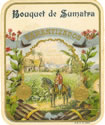 BOUQUET DE SUMATRA