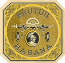 BRUTUS