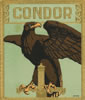 CONDOR