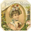 DAIRY ROSE CIGARS