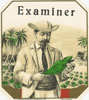 EXAMINER