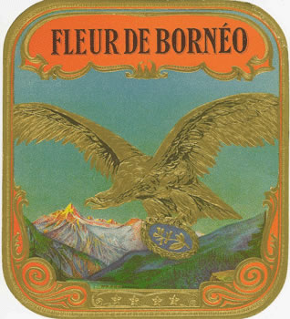 FLEUR DE BORNEO