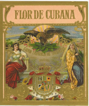 FLOR DE CUBANA