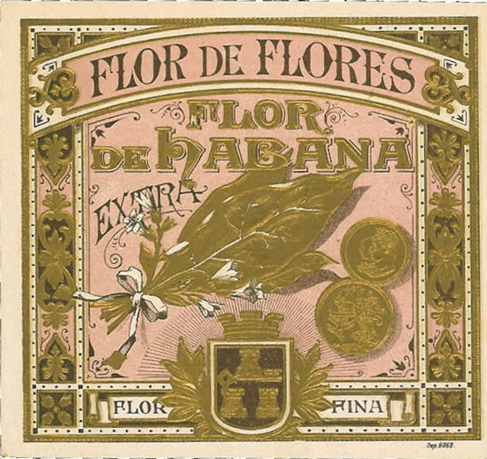FLOR DE FLORES