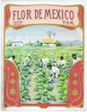 FLOR DE MEXICO