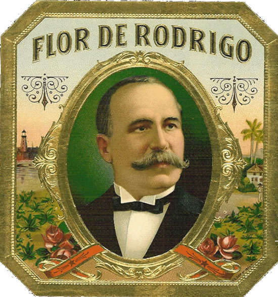 FLOR DE RODRIGO