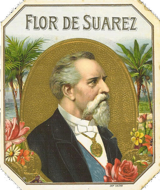 FLOR DE SUAREZ
