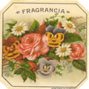 FRAGRANCIA